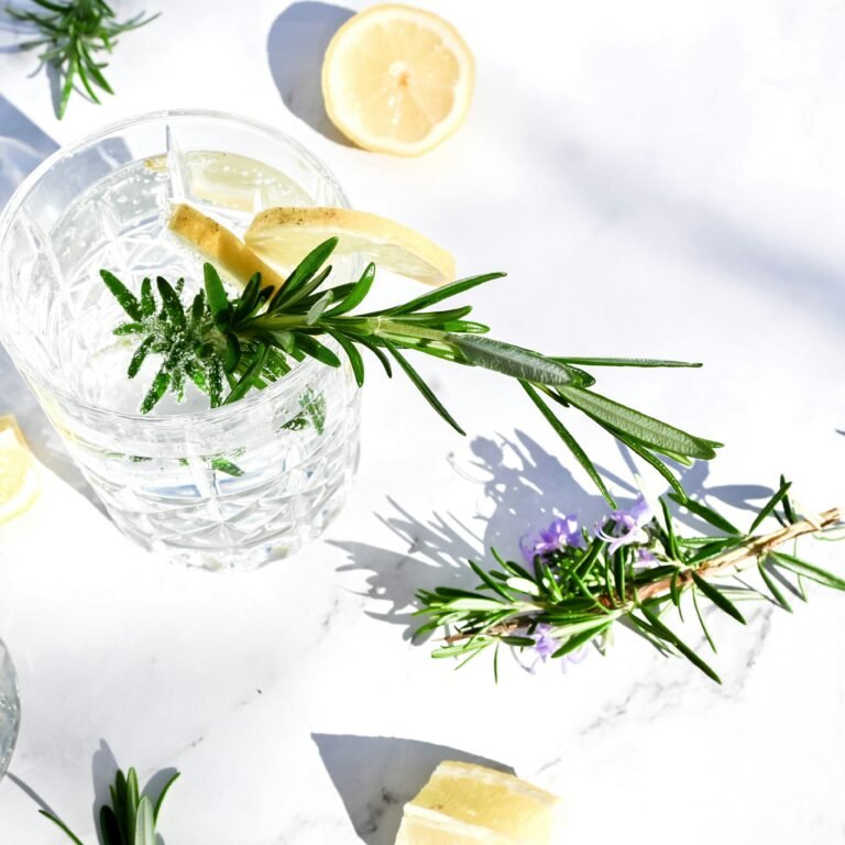 gin and tonic recipe